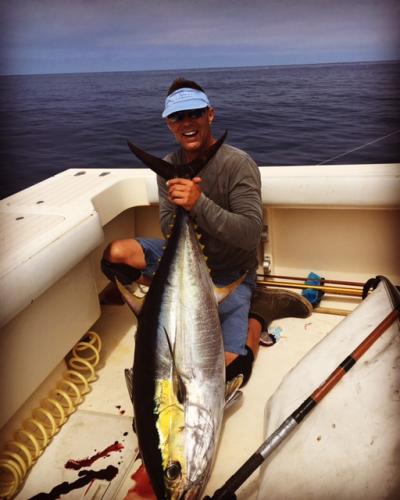 large-yellowfin