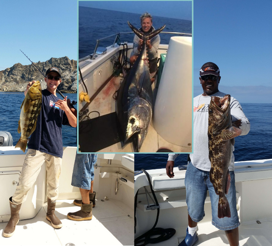 Calico Bass and Lingcod caught with LA Sportfishing and a Bluefin from Fin Fetish