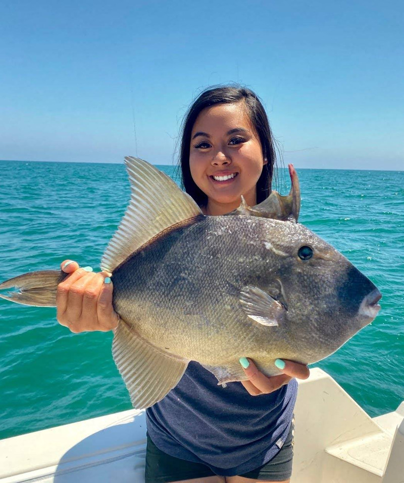 Triggerfish caught on a local LA Sportfishing trip