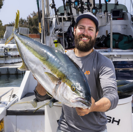 Large California yellowtail caught on the Fin Fetish